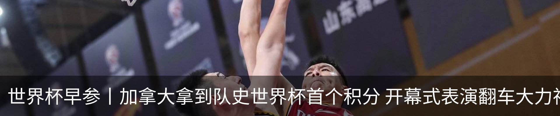 最新动态