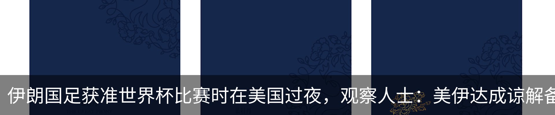 最新动态