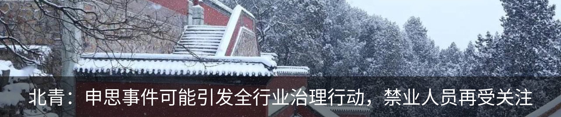 最新动态