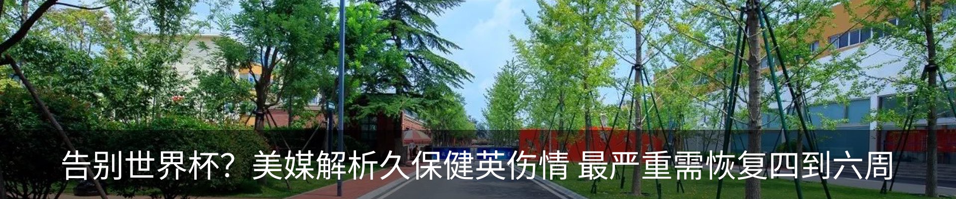 最新动态