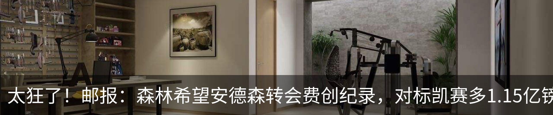 最新动态
