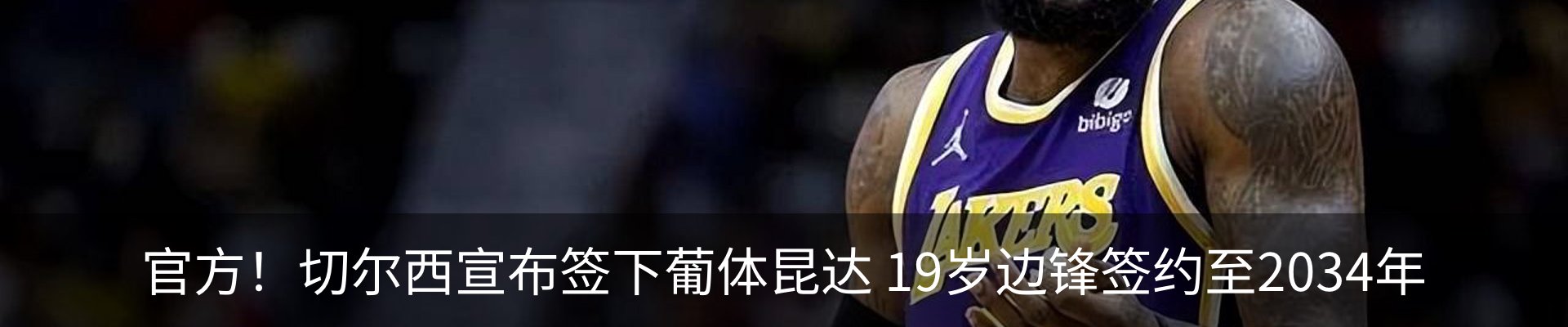 最新动态