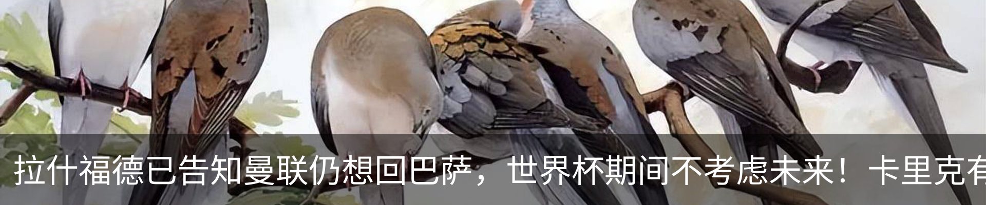 最新动态