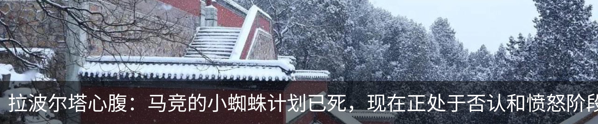 最新动态