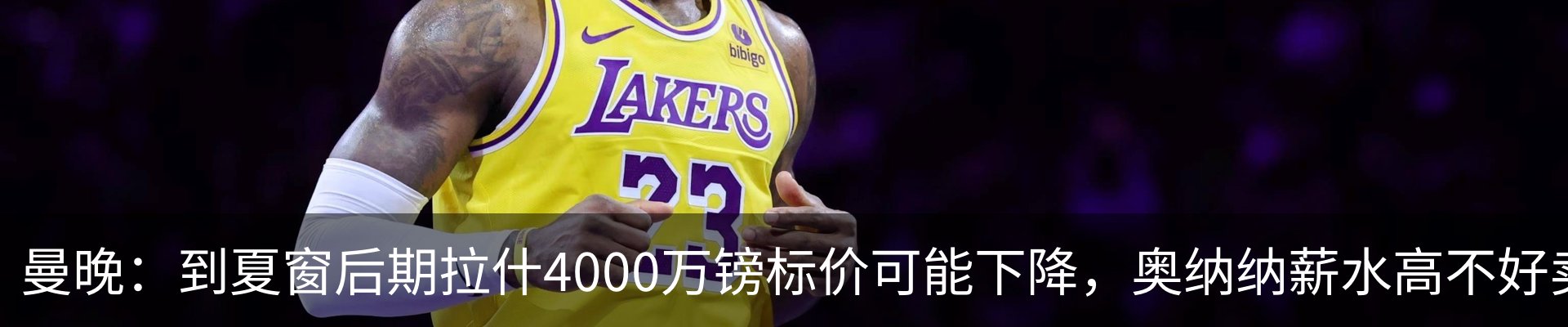 最新动态