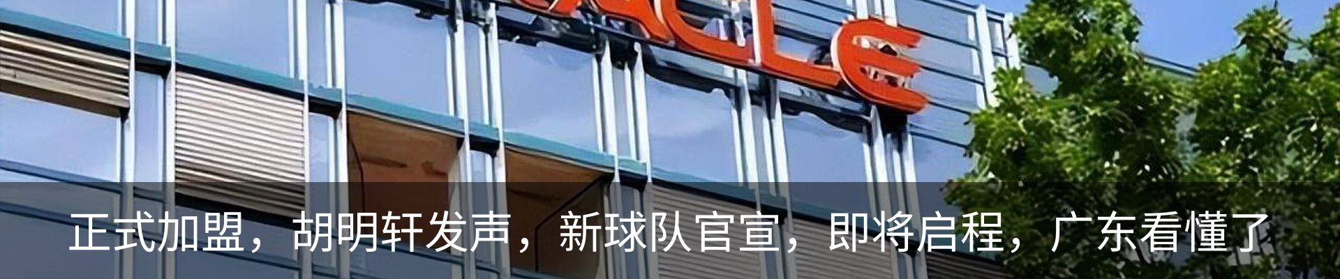 最新动态