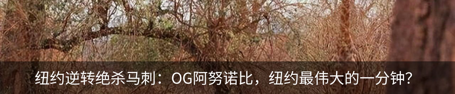 最新动态