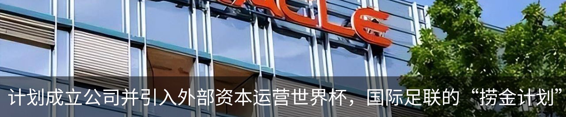 最新动态