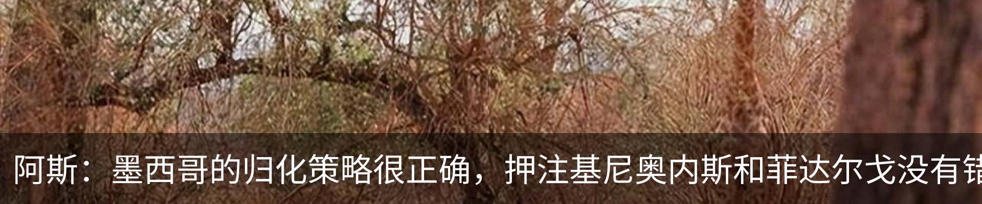 最新动态