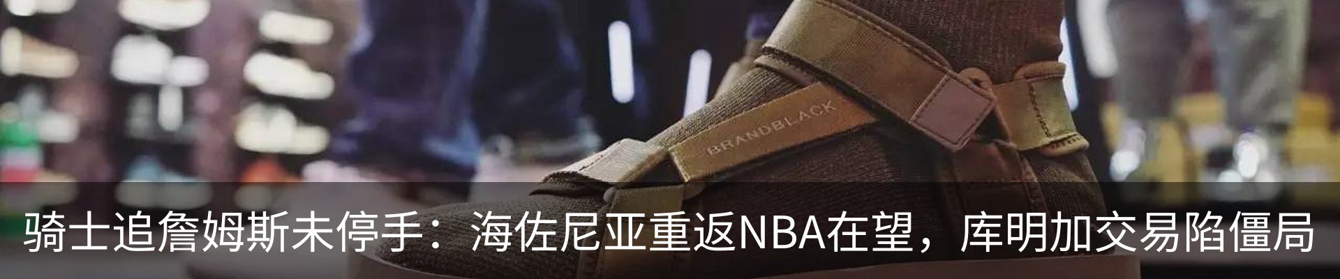 最新动态
