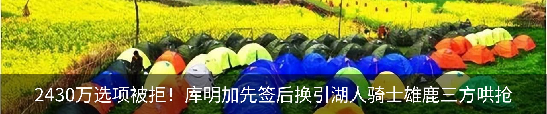 最新动态