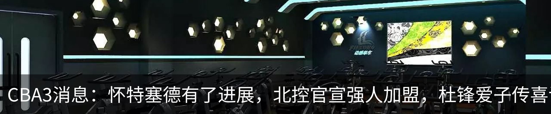 最新动态